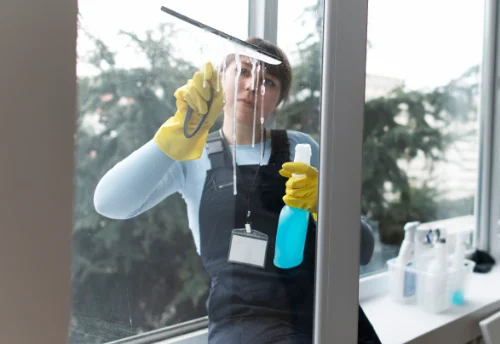 Nettoyage de vitres intérieures et extérieures à Saint-Cyr-des-Gâts